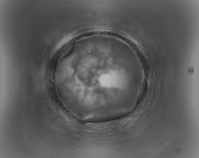 X0000093241255200709261701