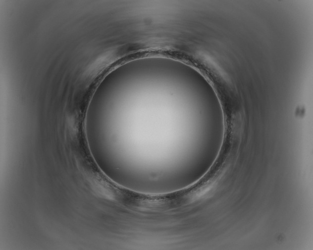 X0000093241257200709261701