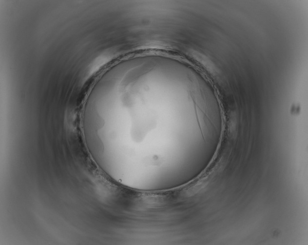X0000093241258200709261701