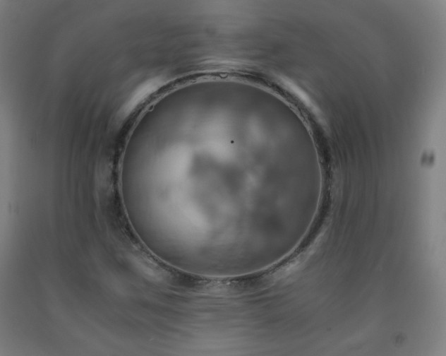 X0000093241259200709261701