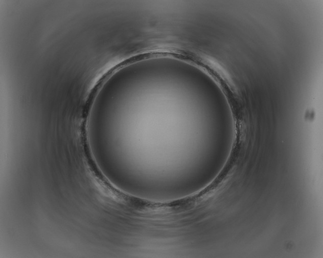 X0000093241260200709261701
