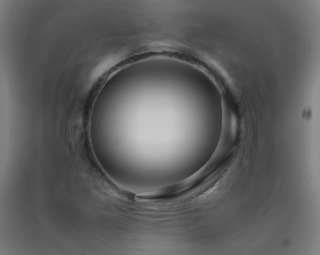 X0000093241261200709261701