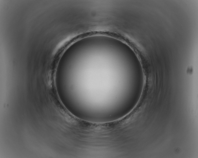 X0000093241262200709261701