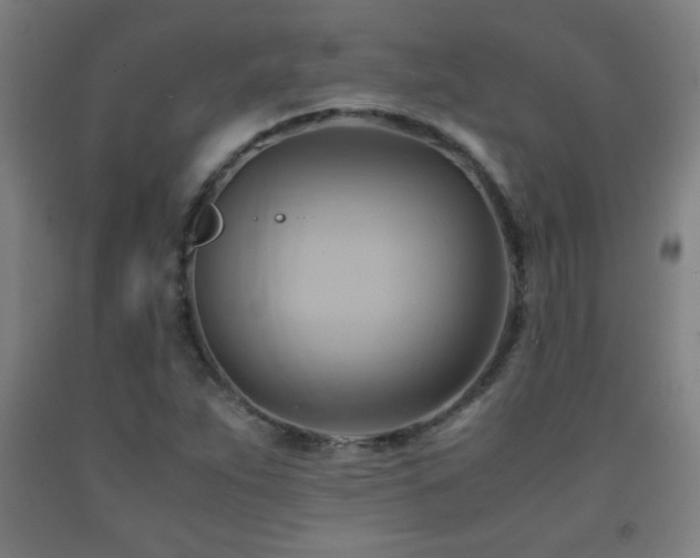 X0000093241263200709261701