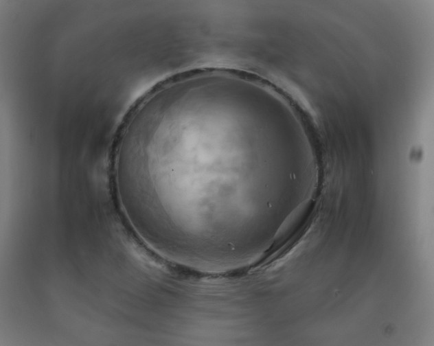 X0000093241264200709261701