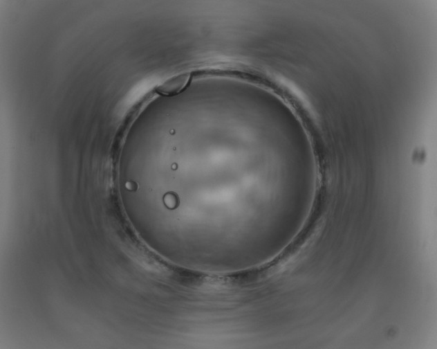 X0000093241267200709261701