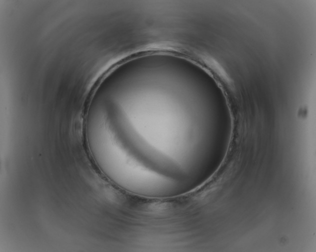X0000093241268200709261701