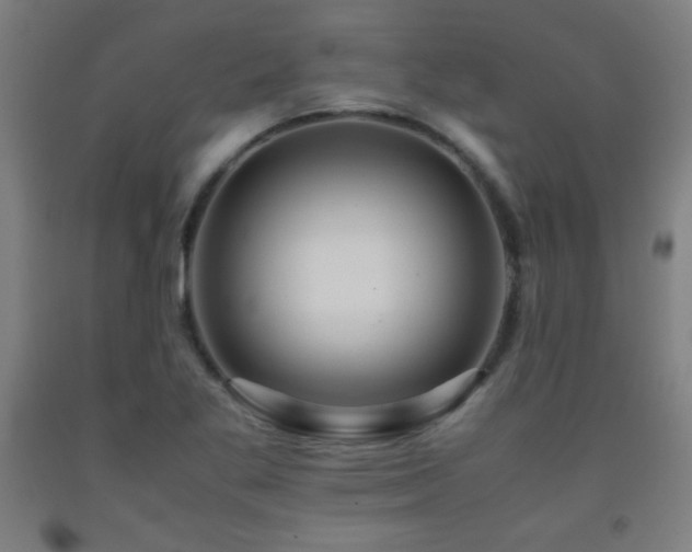 X0000093241269200709261701