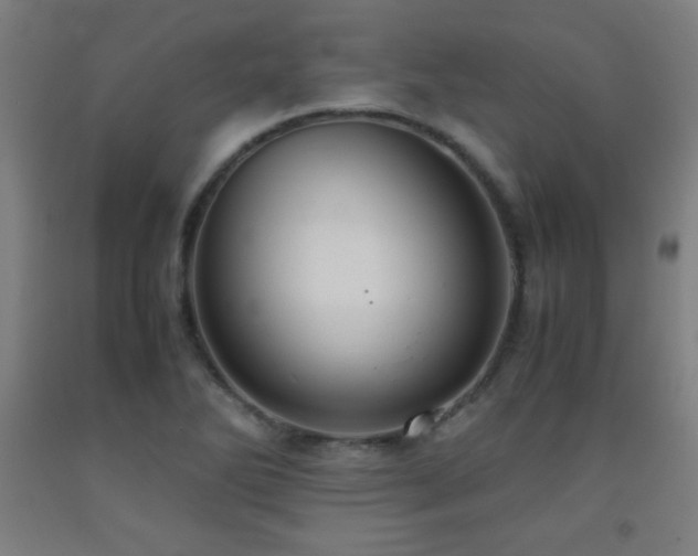 X0000093241270200709261701