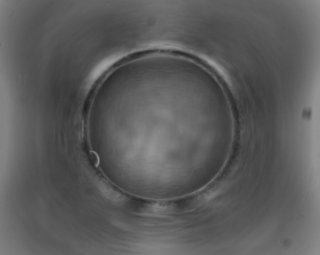 X0000093241271200709261701