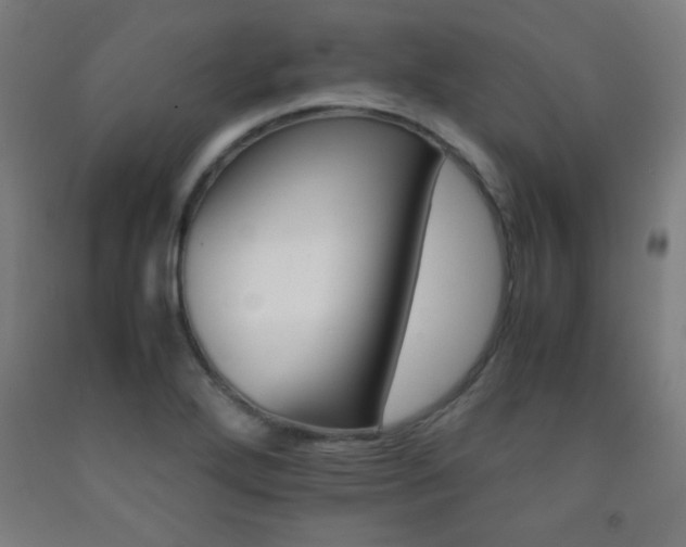 X0000093241272200709261701