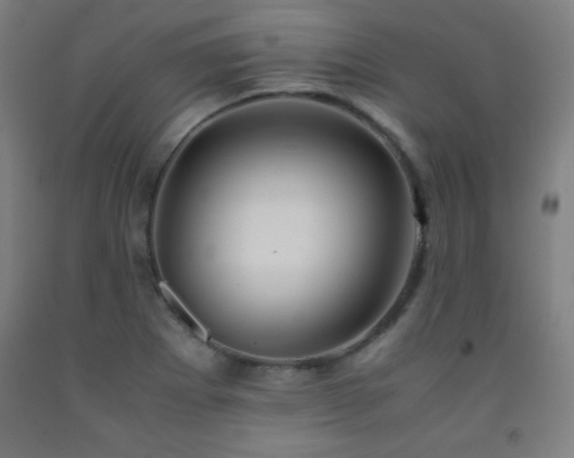 X0000093241273200709261701