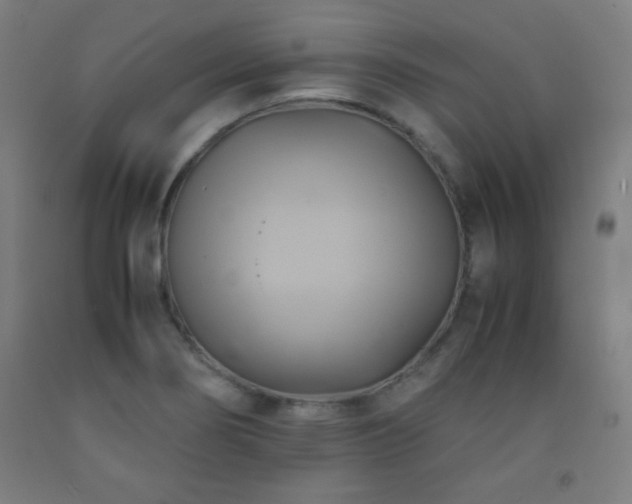 X0000093241274200709261701