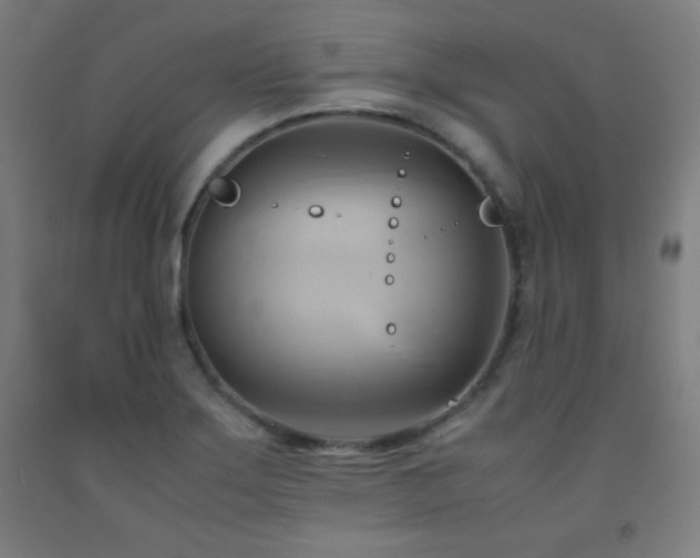 X0000093241275200709261701