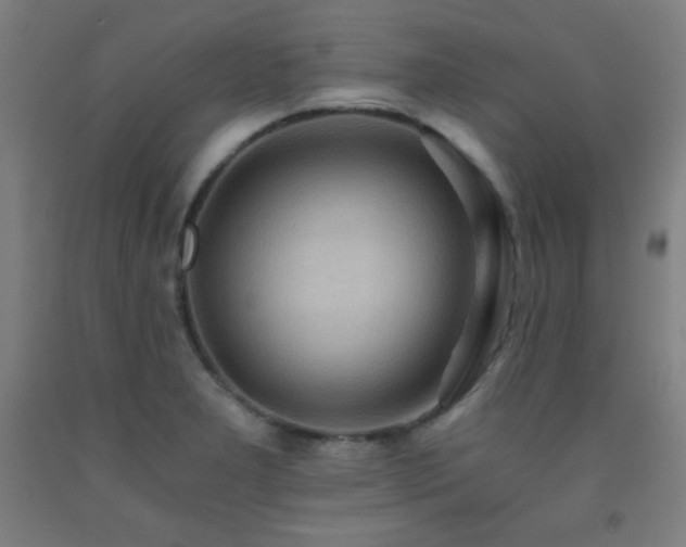 X0000093241277200709261701