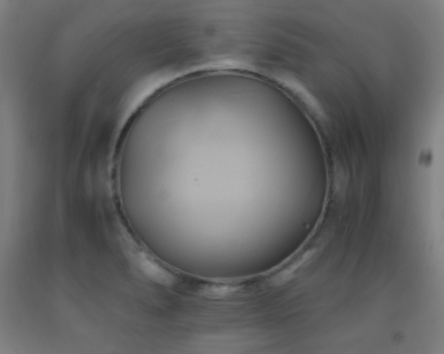 X0000093241278200709261701