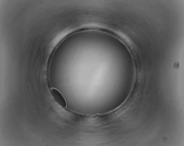 X0000093241279200709261701