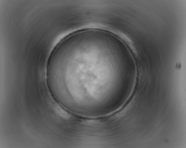 X0000093241280200709261701