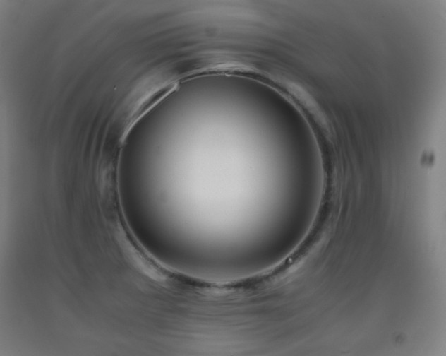 X0000093241281200709261701