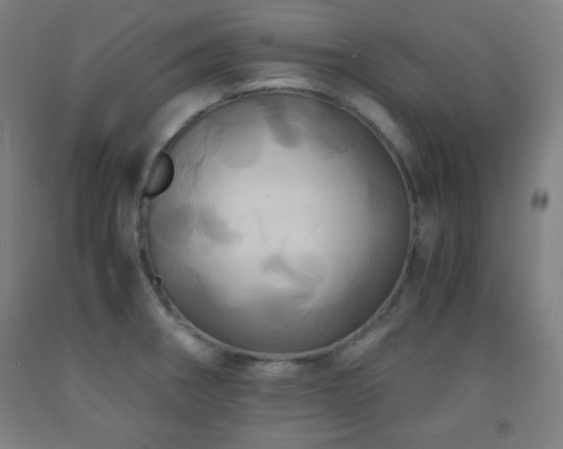 X0000093241282200709261701