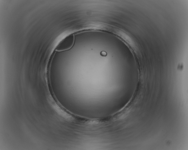X0000093241283200709261701