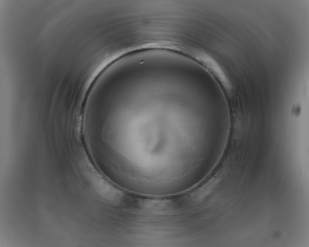 X0000093241284200709261701