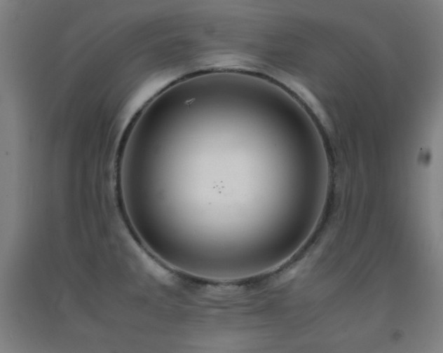 X0000093241285200709261701
