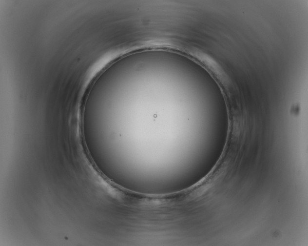 X0000093241286200709261701