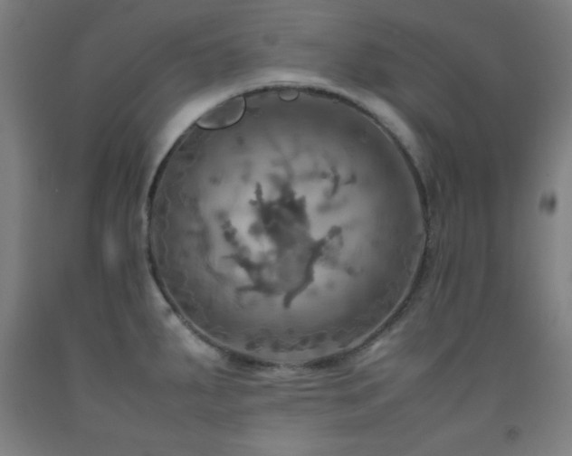 X0000093241287200709261701