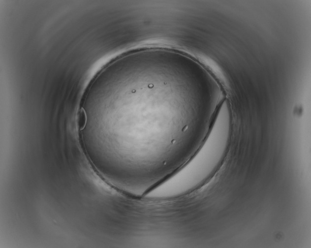 X0000093241288200709261701