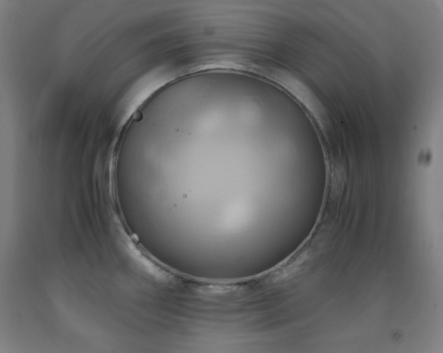 X0000093241290200709261701