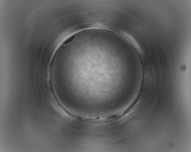 X0000093241292200709261701