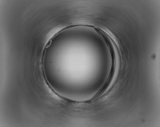 X0000093241293200709261701