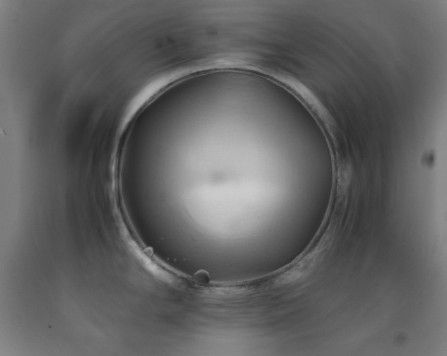 X0000093241294200709261701