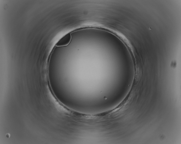 X0000093241295200709261701