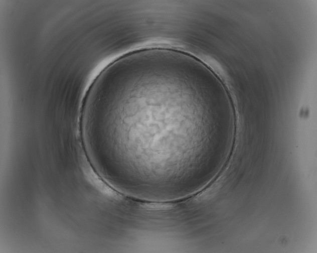 X0000093241296200709261701