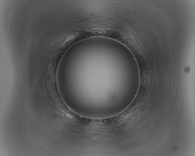X0000093241297200709261700