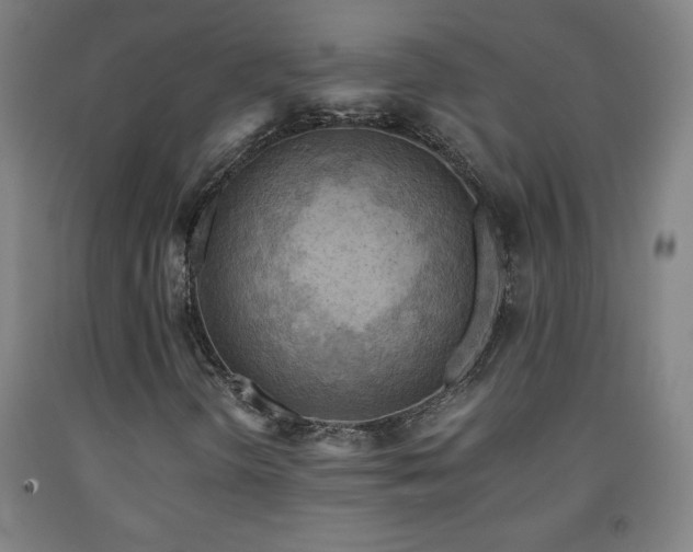 X0000093241298200709261700