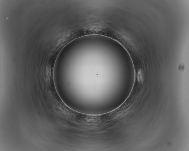 X0000093241299200709261700