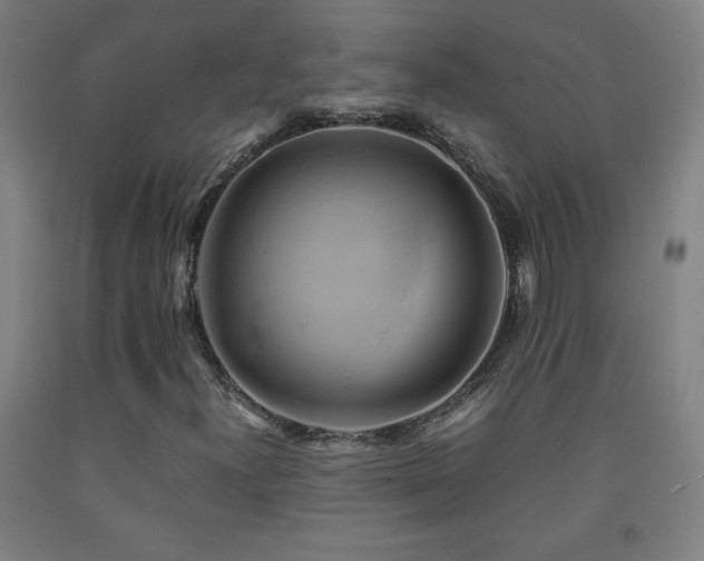 X0000093241300200709261700