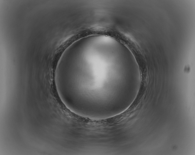 X0000093241301200709261700