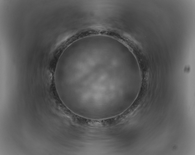 X0000093241302200709261700