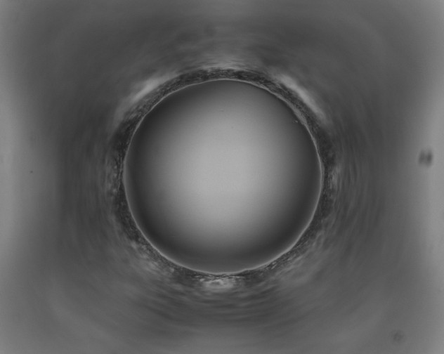 X0000093241303200709261700