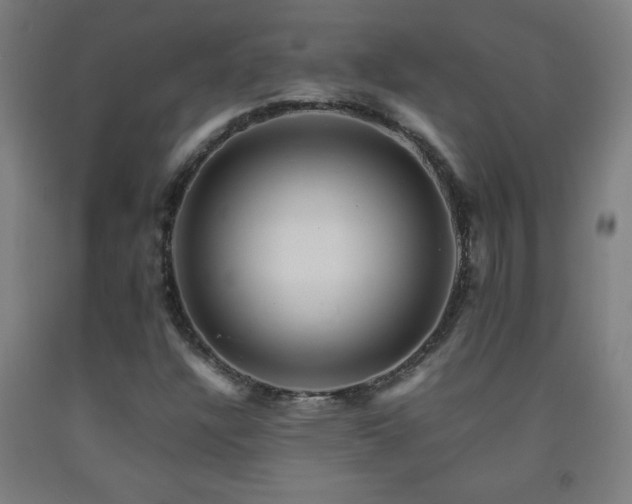 X0000093241304200709261700