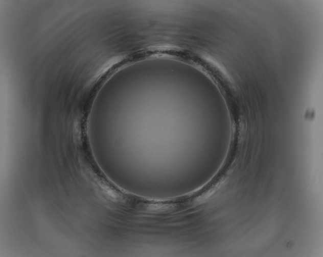 X0000093241305200709261700