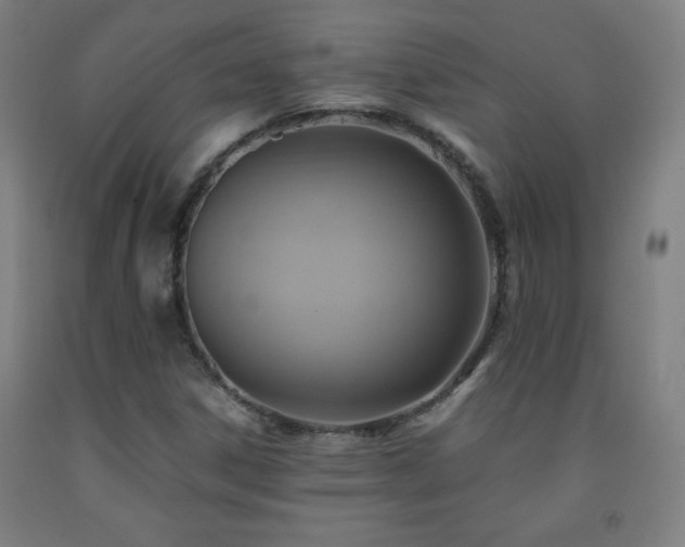 X0000093241306200709261700