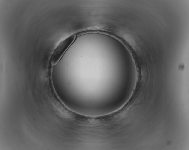 X0000093241308200709261700
