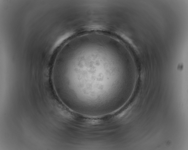 X0000093241309200709261700