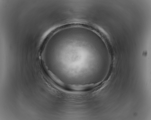 X0000093241310200709261700