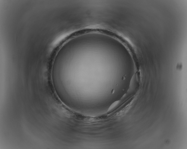 X0000093241311200709261700